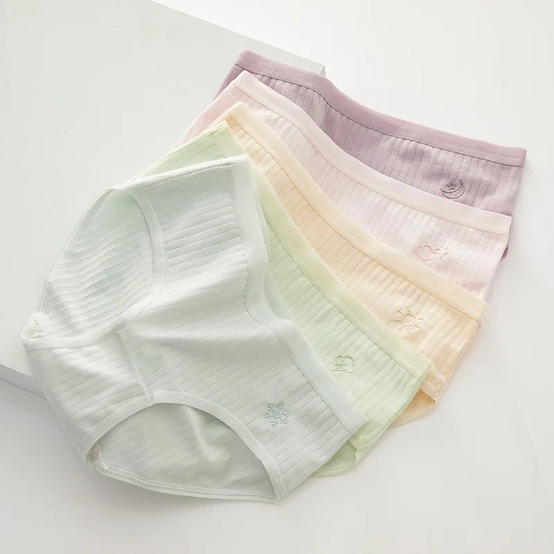 Multi-pack of Purple, Sky Blue, Green, Yellow panties. Comfortable, casual wear by Amoura Elegance.