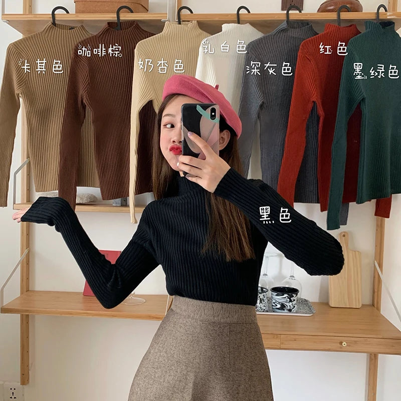 Amoura Elegance Women's 2024 Chic Autumn/Winter Turtleneck Sweater – Casual Long Sleeve Knit Jumper Top for Warmth & Comfort