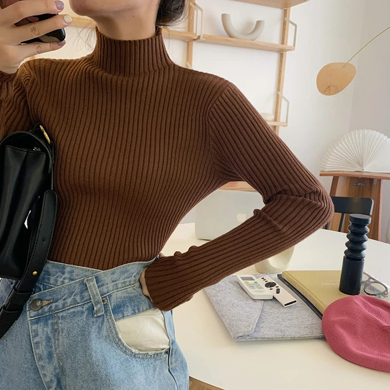 Amoura Elegance Women's 2024 Chic Autumn/Winter Turtleneck Sweater – Casual Long Sleeve Knit Jumper Top for Warmth & Comfort