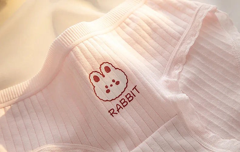 Women’s Cotton Briefs – 5PCS Cute Cartoon Panties Set for Girls and Ladies