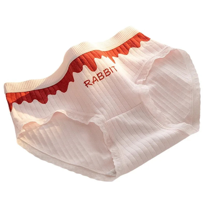 Women’s Cotton Briefs – 5PCS Cute Cartoon Panties Set for Girls and Ladies