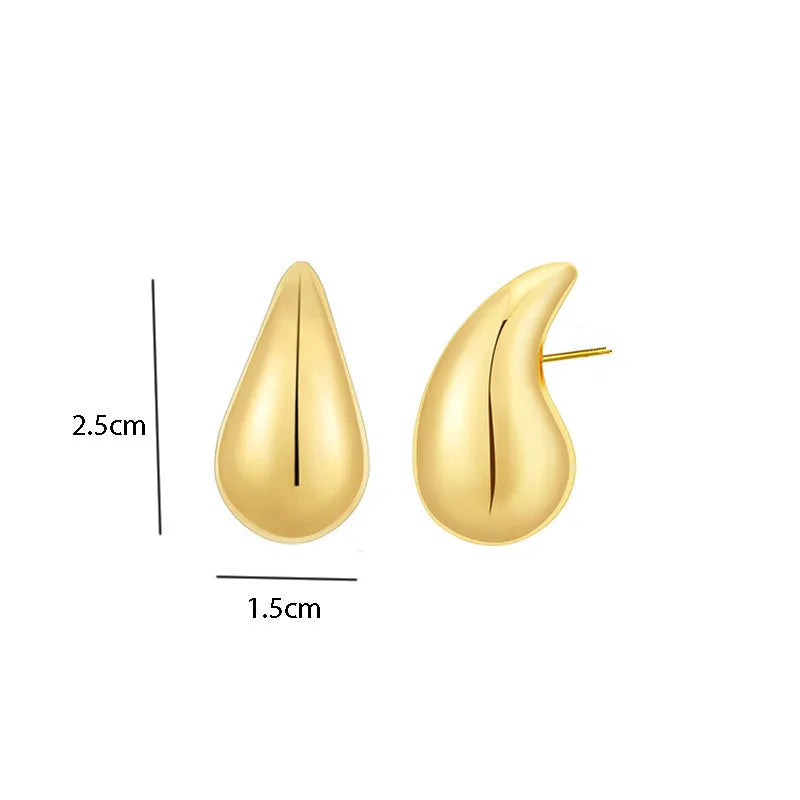"AmouraElegance Irregular Metal Water Droplets Earrings | European & American Style Personalized Fashion Stud Earrings for Girls | Travel Accessories"