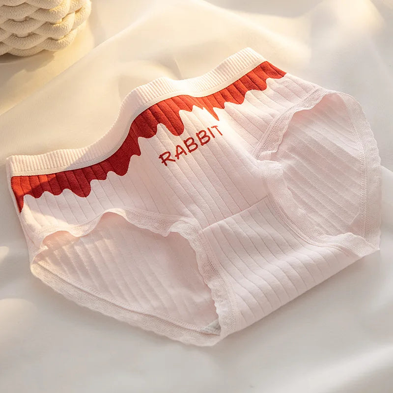 Women’s Cotton Briefs – 5PCS Cute Cartoon Panties Set for Girls and Ladies