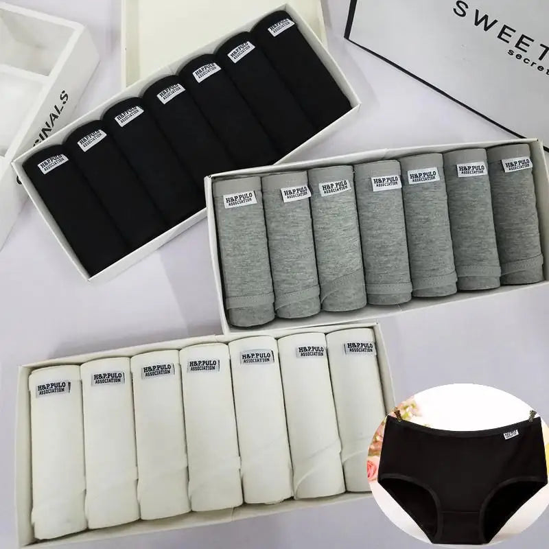 Plus Size Cotton Underwear for Women – Sexy Briefs in Solid Design 5 pieces from Amoura Elegance