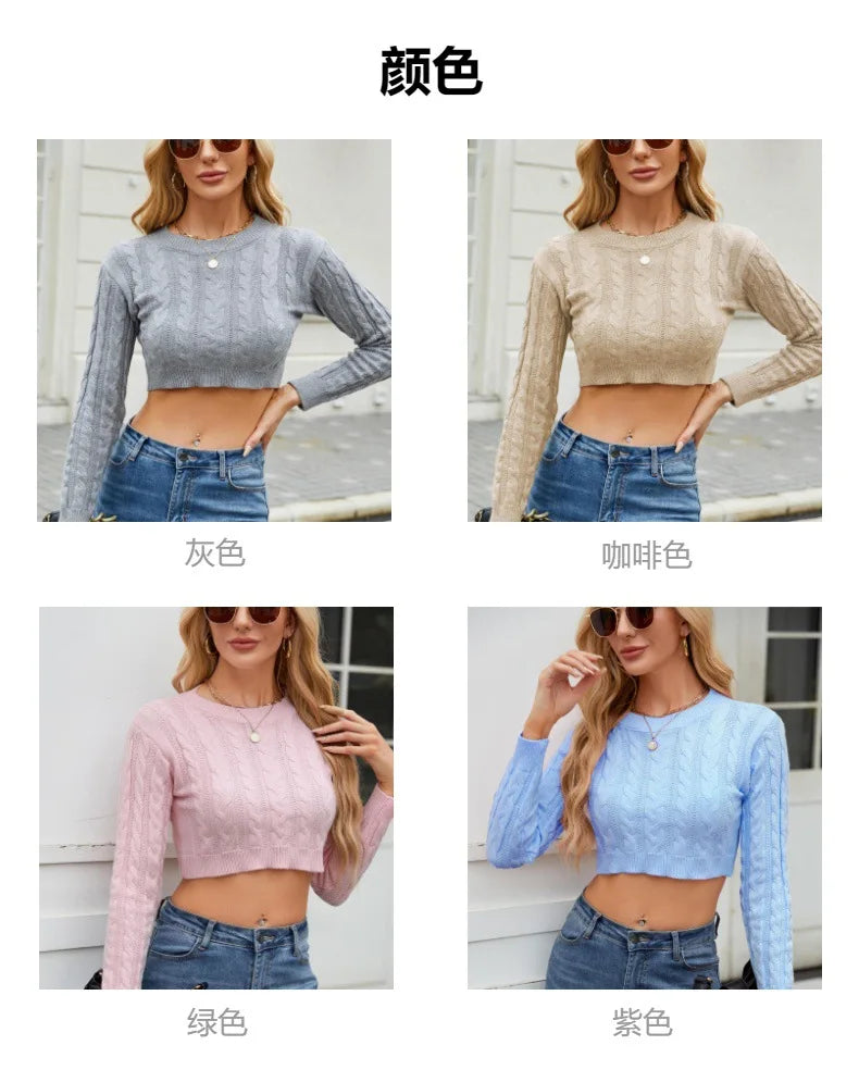 Amoura Elegance Women's 2024 Autumn Winter Crew Neck Twist Long Sleeve Waist Knitted Sweater – Stylish European & American Knitwear